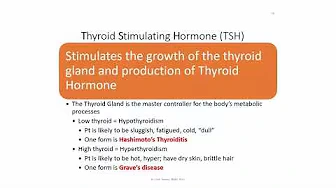 Hormones